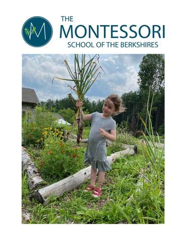 berkshire montessori|montessori schools in massachusetts.